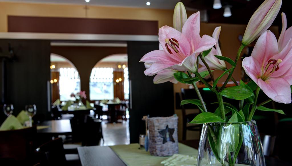 Hotel Restaurant Moselblick Wintrich Kültér fotó